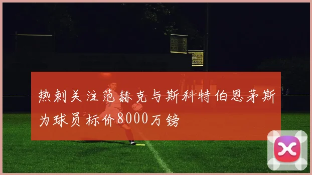 热刺关注范赫克与斯科特伯恩茅斯为球员标价8000万镑
