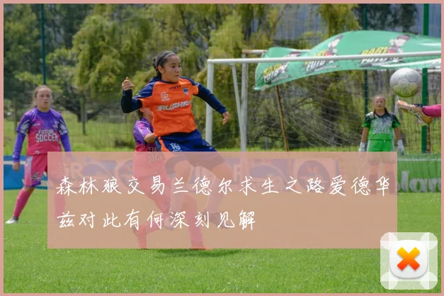 森林狼交易兰德尔求生之路爱德华兹对此有何深刻见解